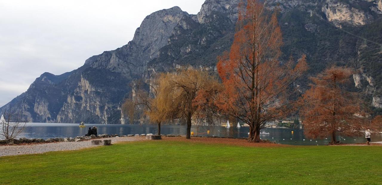 Verde & Lago Appartamento Vicino Al Lago Di Garda Calcinato Eksteriør billede